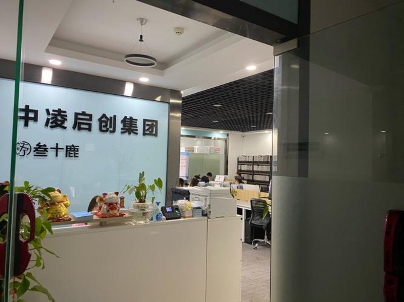财税服务：企业健康成长的智慧之钥